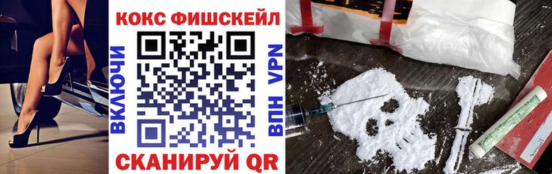 COCAIN Fish Scale  Купить закладки  Пудож 