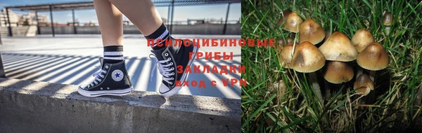 марки lsd Богданович