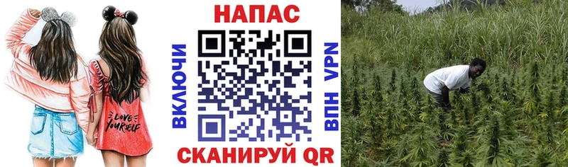 Марихуана марихуана  Купить закладки  Пудож 